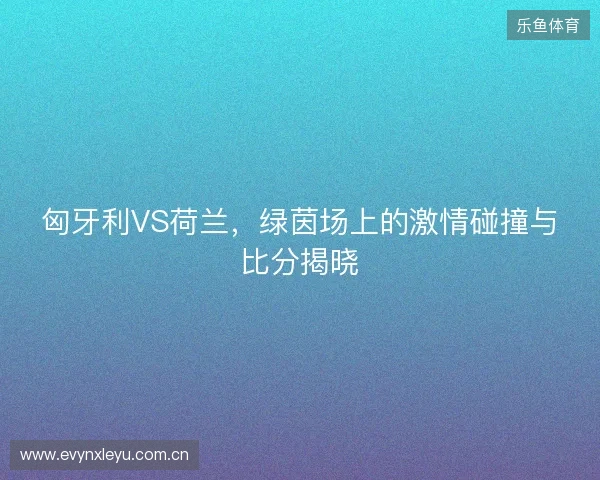 匈牙利VS荷兰，绿茵场上的激情碰撞与比分揭晓